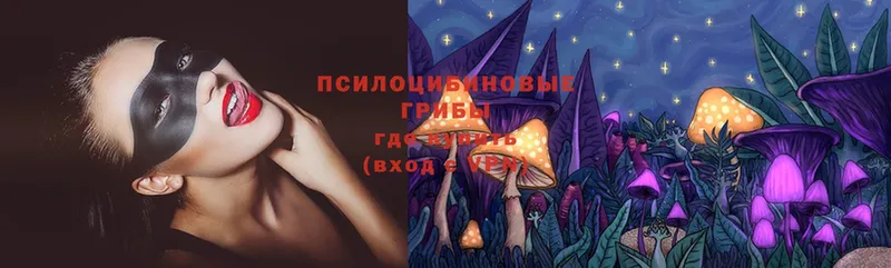 Псилоцибиновые грибы Magic Shrooms Фролово